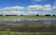 lezing_natontwbiesbosch