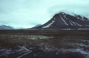 De in Nederland overwinterende brandganzen komen uit Spitsbergen. Door de permafrost is de toendra in de zomer constant drassig. (foto: Jacques van der Neut)