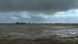 Door overvloedige regenval veranderde de Noordwaard in een wetland. (foto; Jacques van der Neut)