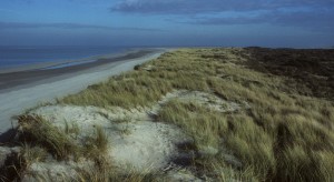 duinen