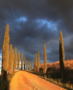 toscane_weblog