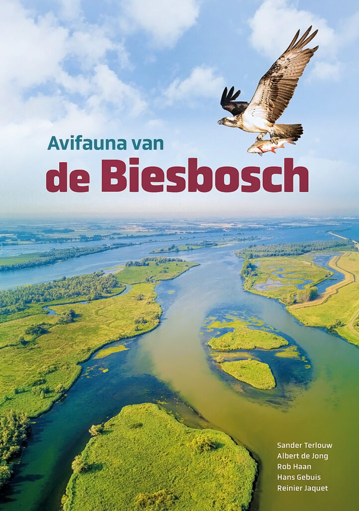 Deze afbeelding heeft een leeg alt-attribuut; de bestandsnaam is Omslag-Avifauna-van-de-Biesbosch-721x1024.jpg