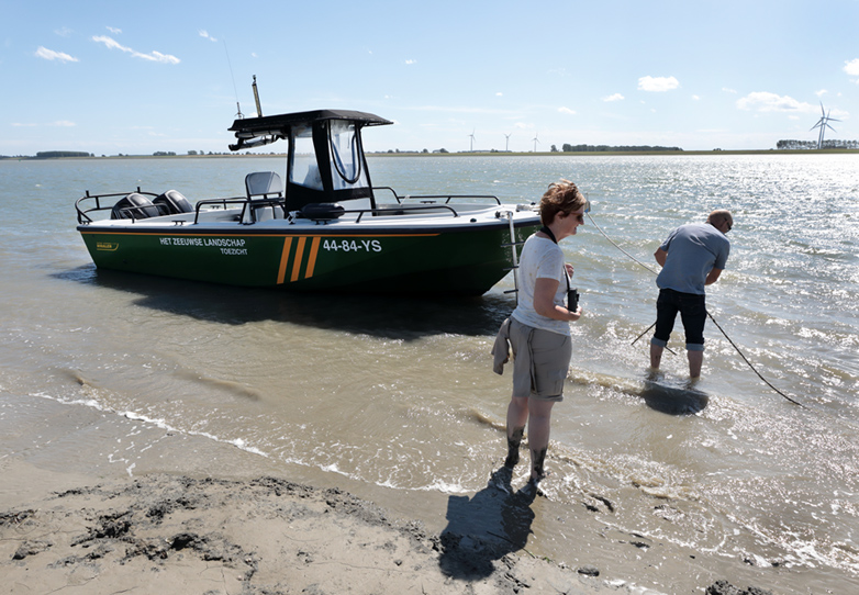 Deze afbeelding heeft een leeg alt-attribuut; de bestandsnaam is Westerschelde_hoogeplaten_0010.jpg